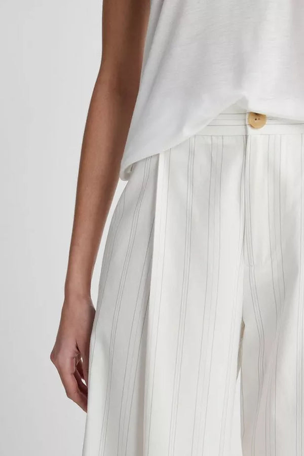 Casual Stripe Pleated Trousers