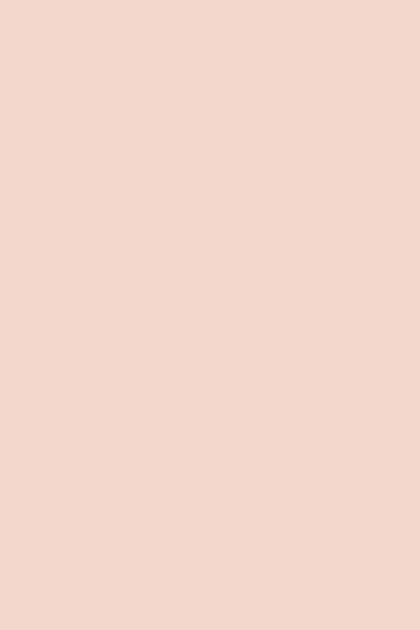 Bestillingsvare: Jane Peach Paint 2,7L