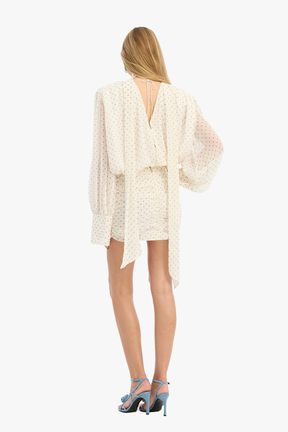 Maxine Crinkled Chiffon Dress