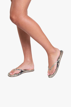 Studio Exotic Sand Snake