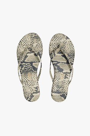 Studio Exotic Sand Snake