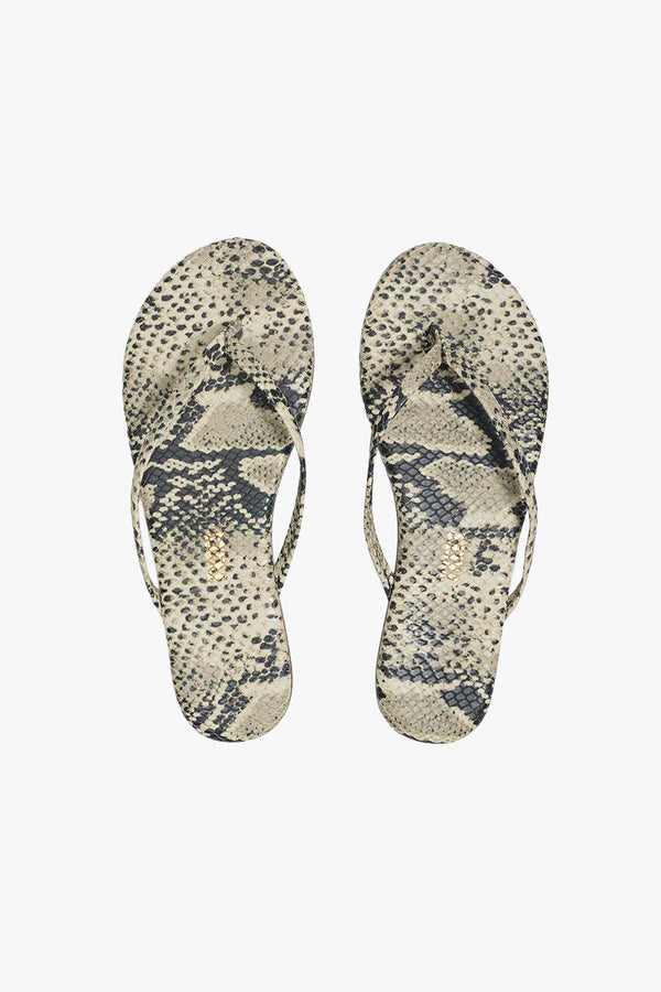 Studio Exotic Sand Snake