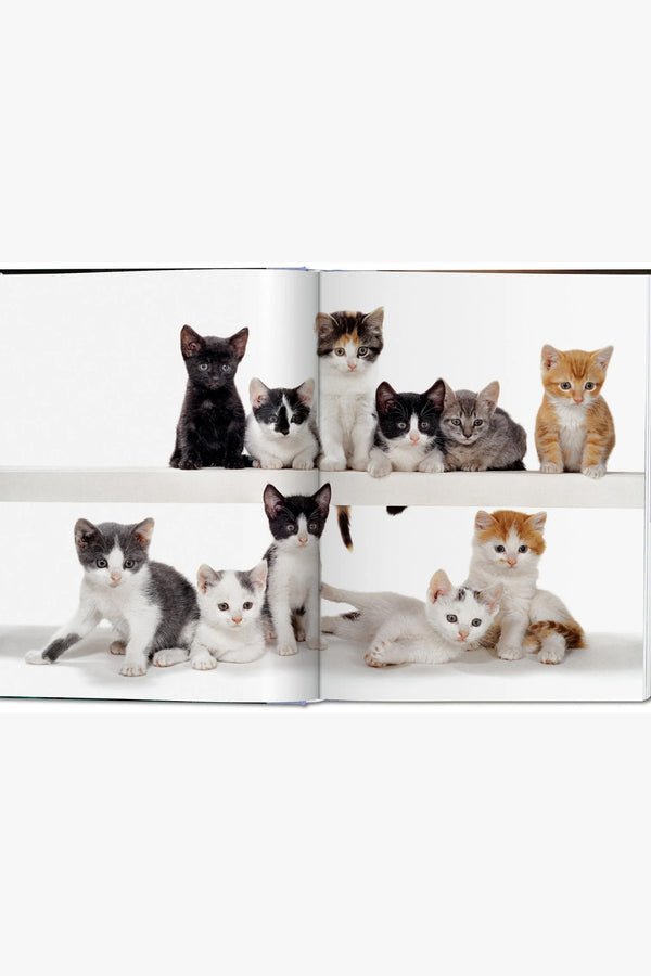 Cats. Walter Chandoha. Photographs 1942-2018 - Small