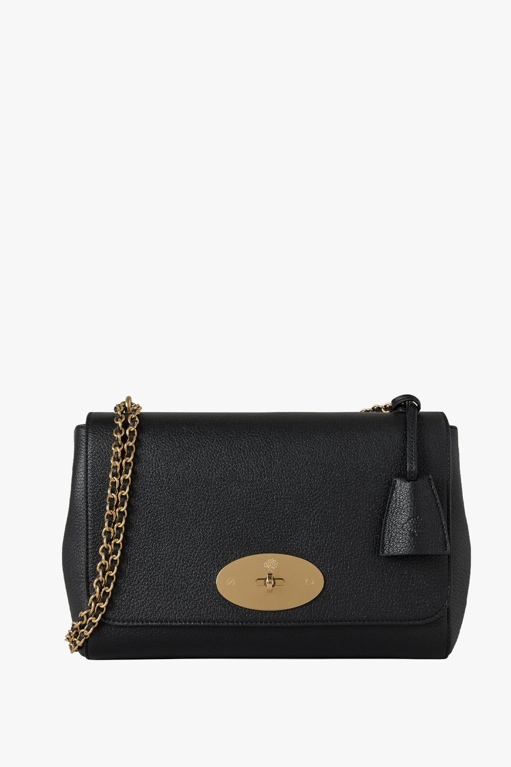 Medium Lily Glossy Goat