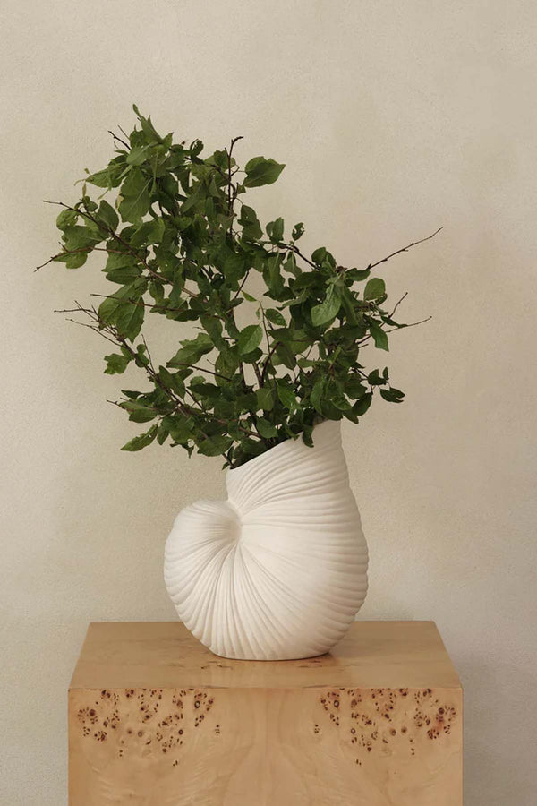 Shell Vase