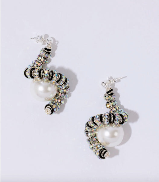 Kobra snakes zebra