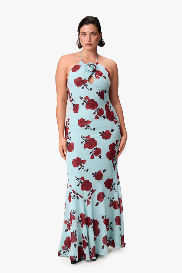 Rozzano maxi dress