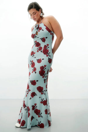 Rozzano maxi dress