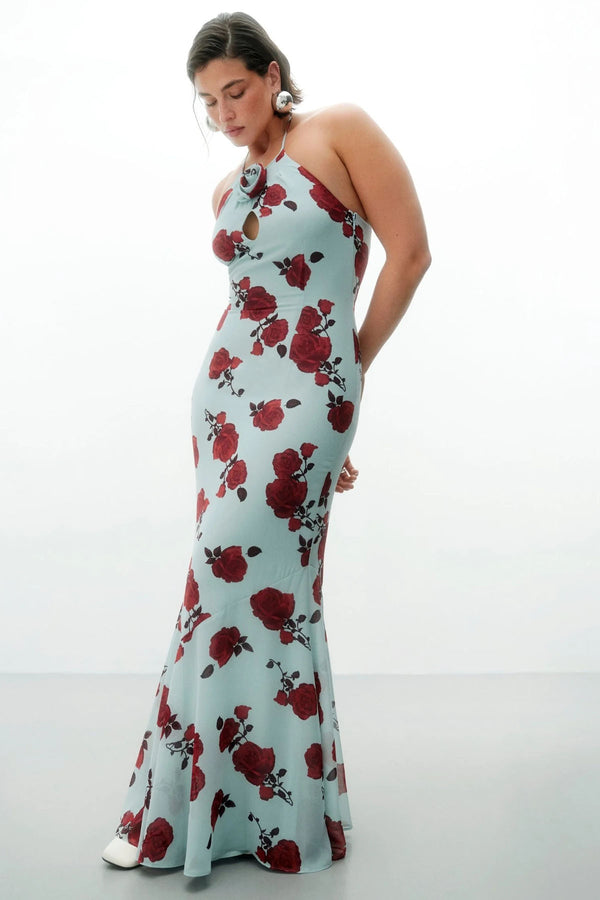 Rozzano maxi dress