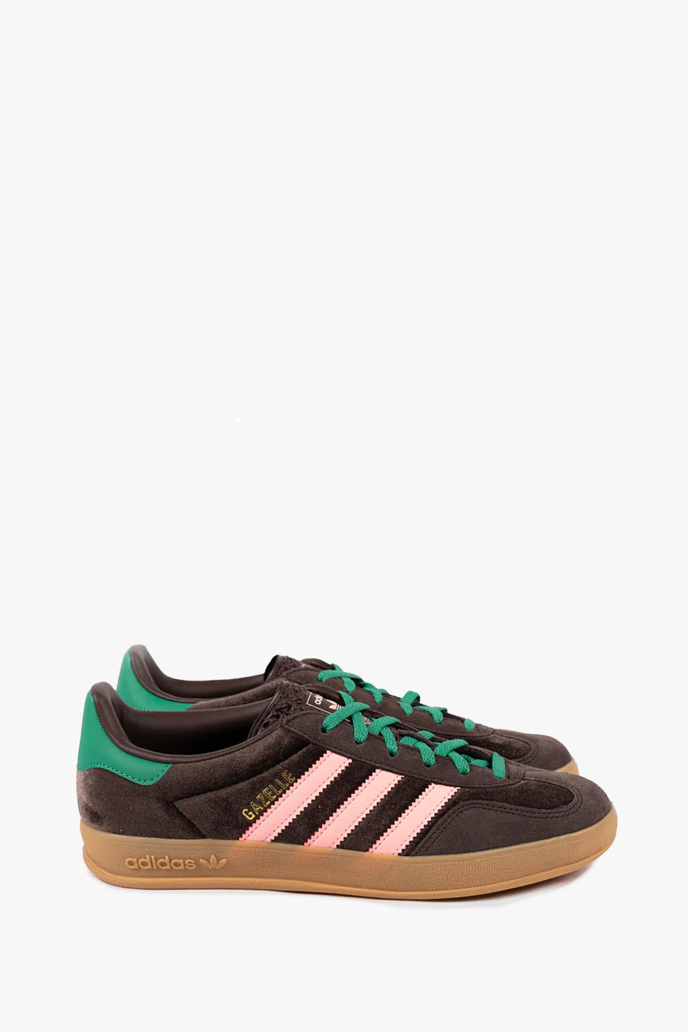 Gazelle Indoor W
