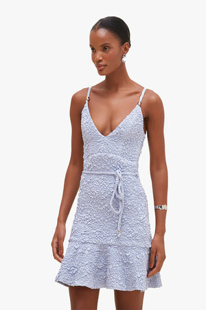 Papillon Jacquard Mini Dress