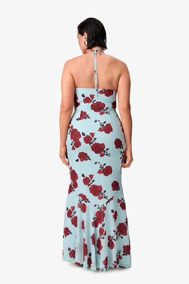 Rozzano maxi dress