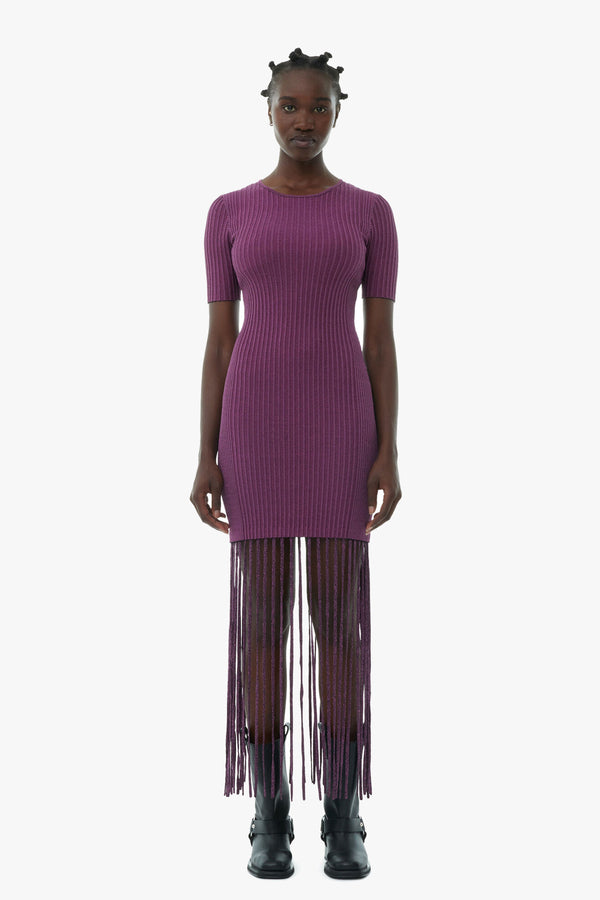 Melange Knit Fringe Short Sleeve Mini Dress