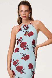 Rozzano maxi dress