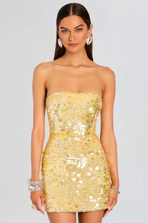 Nolia Sequin Dress