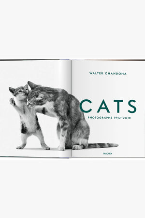 Cats. Walter Chandoha. Photographs 1942-2018 - Small