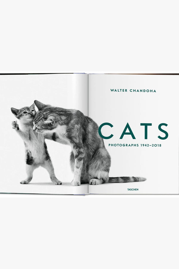 Cats. Walter Chandoha. Photographs 1942-2018 - Small