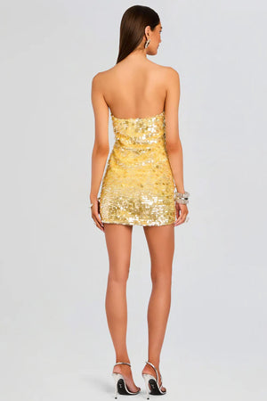 Nolia Sequin Dress