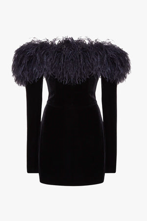 Velvet Mini Dress With Feathers