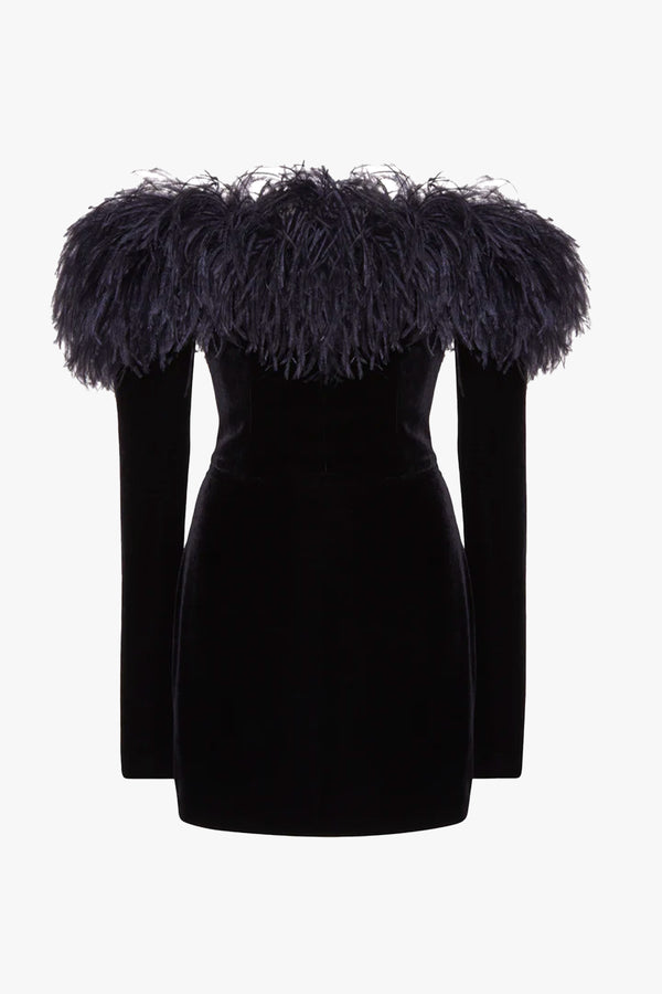 Velvet Mini Dress With Feathers
