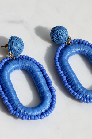 Blue Beaded Earrings