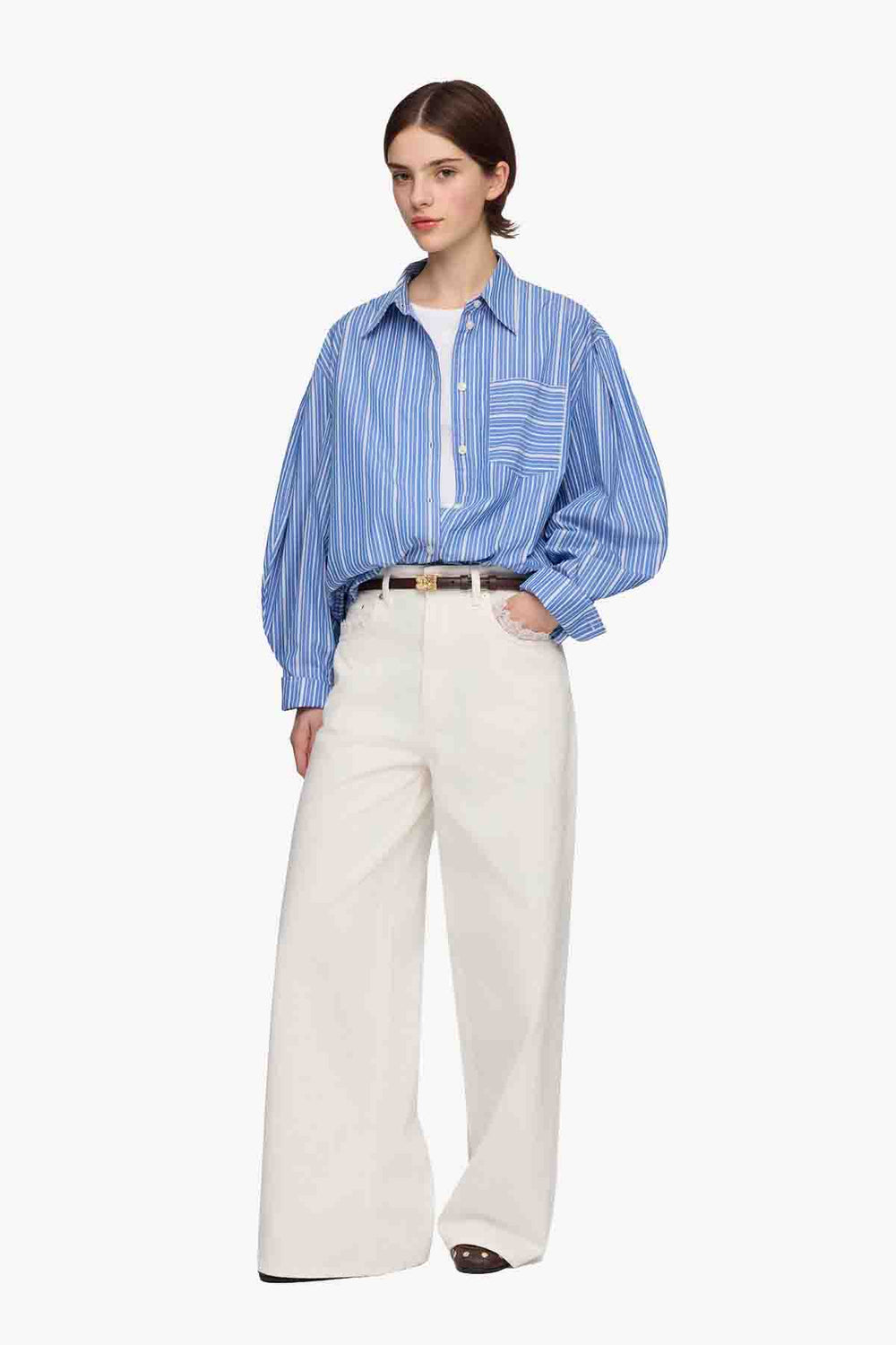 Stripe Cotton Pleated Sleeve Shirt