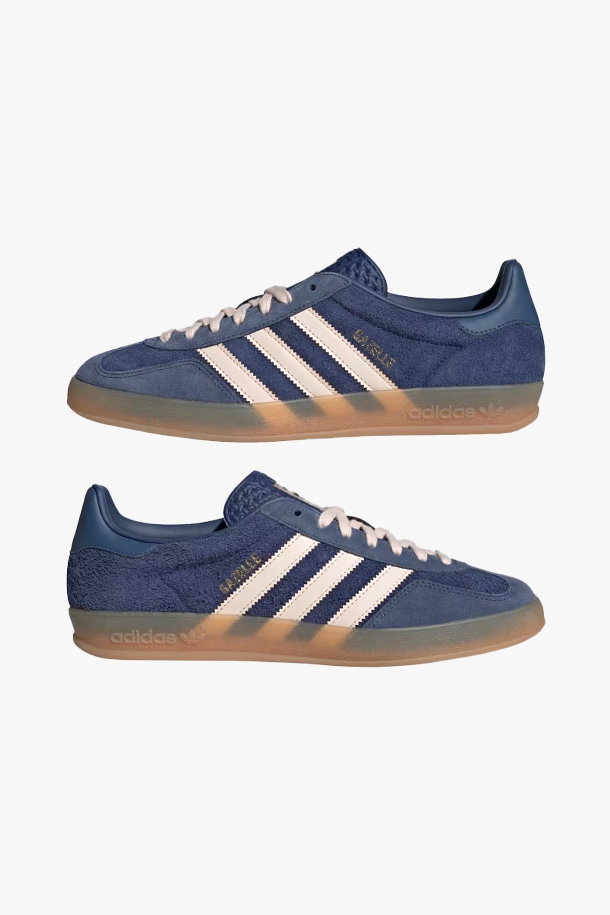 Gazelle Indoor