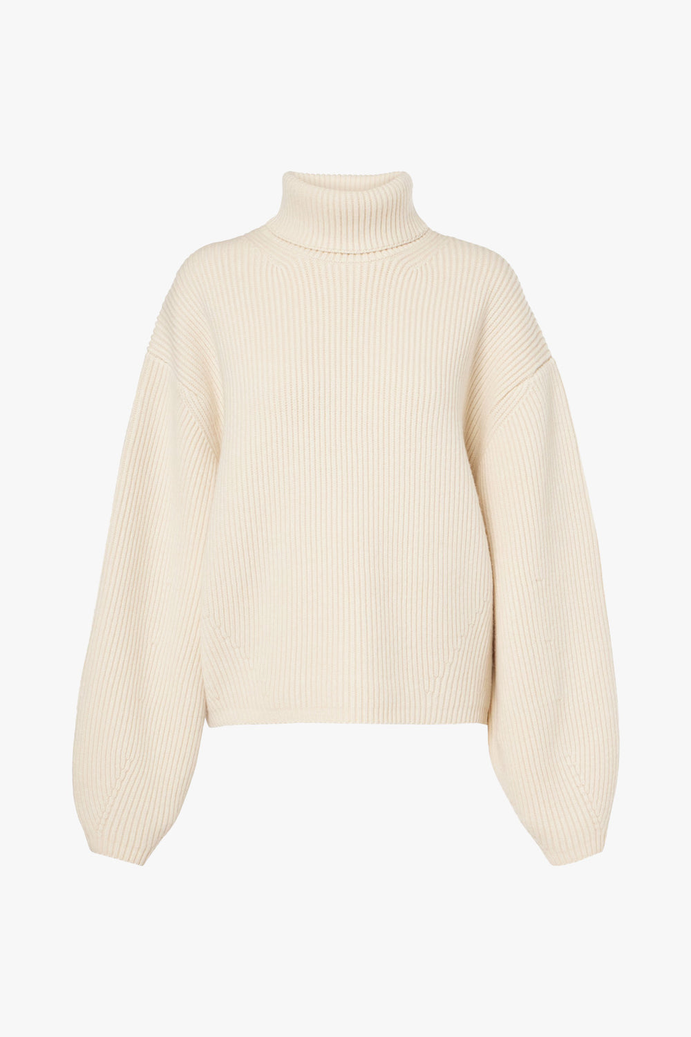 Ribbed Turtleneck