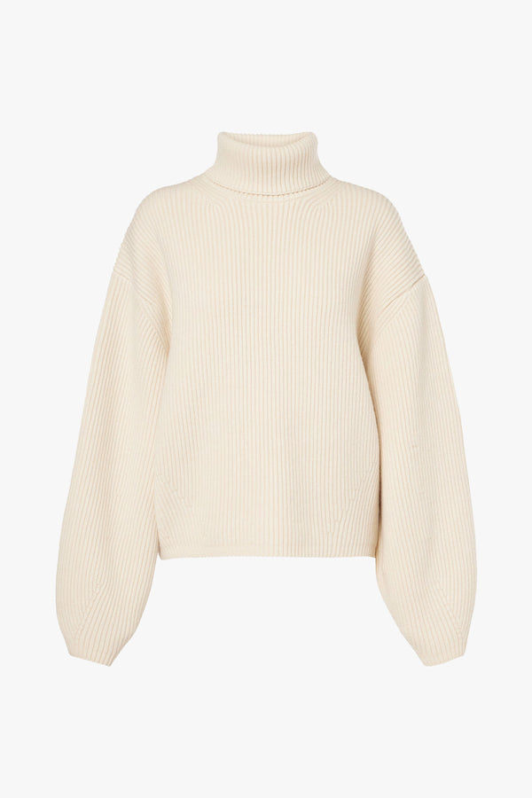 Ribbed Turtleneck