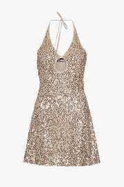 Net Sequins Mini Dress