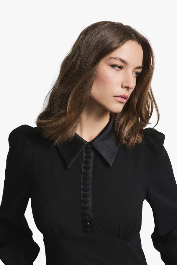 Viola