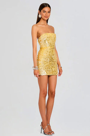 Nolia Sequin Dress