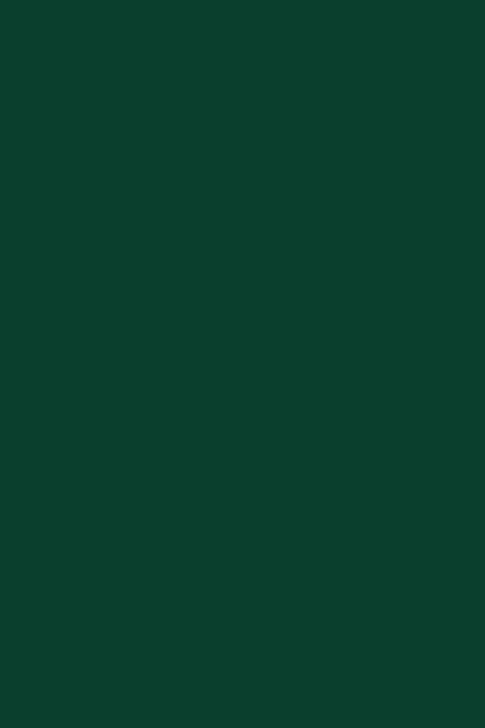 Bestillingsvare: Hedy Dark Green Paint 2,7L