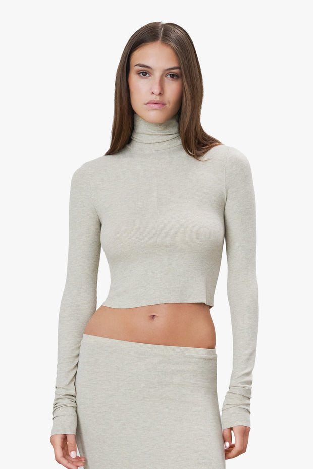 Cropped Fitted Turtleneck Top