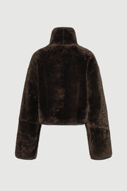Hawk Jacket