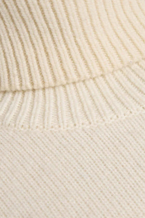 Wide Turtleneck Dress