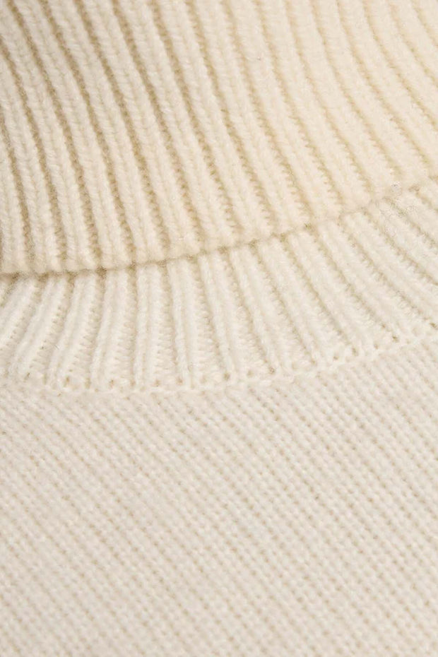 Broad Turtleneck Dress