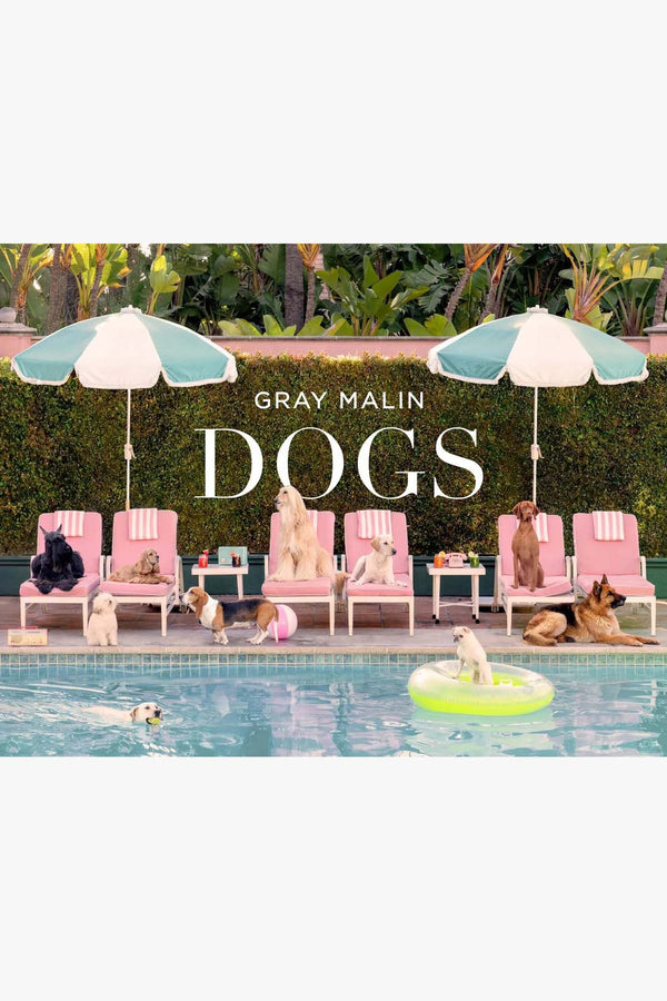 Gray Malin - Dogs