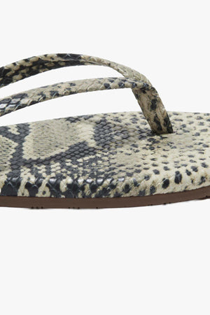 Studio Exotic Sand Snake