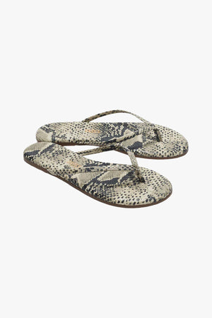 Studio Exotic Sand Snake