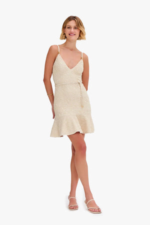 Papillon Jacquard Mini Dress