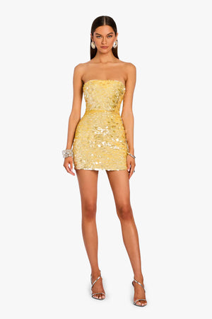 Nolia Sequin Dress