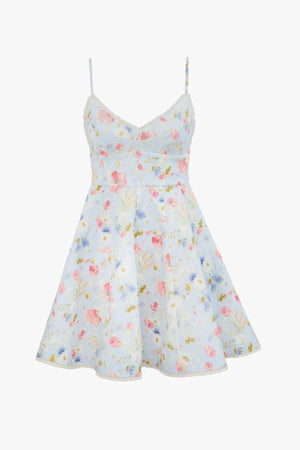 Lucky Picnic Mini Dress