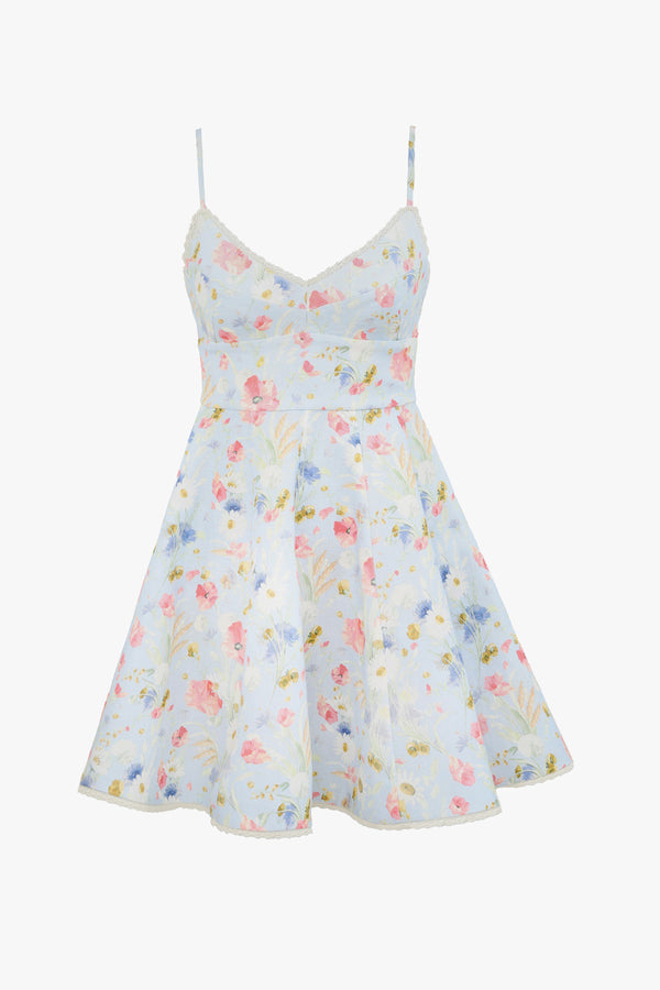 Lucky Picnic Mini Dress