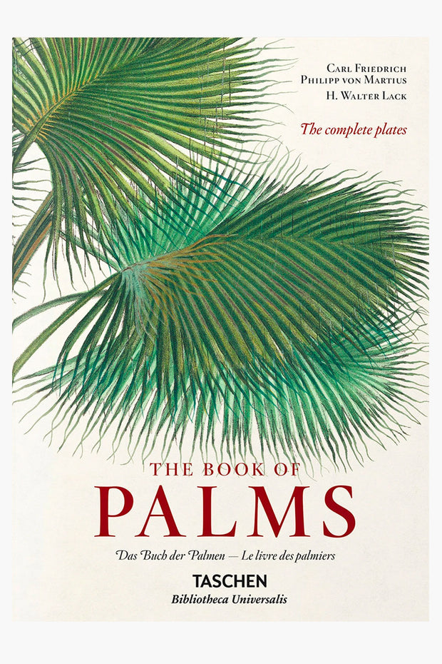 The Book of Palms XL